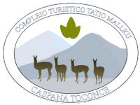 logo geysers del tatio caspana toconce