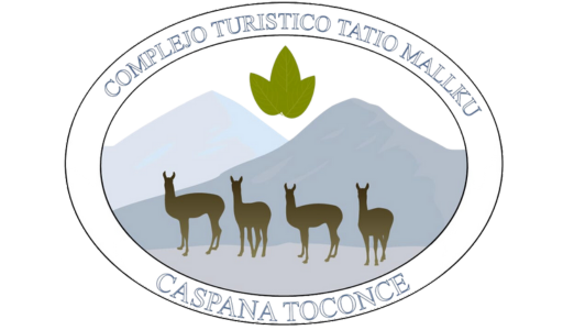 logo geysers del tatio