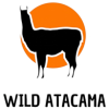 Wild Atacama